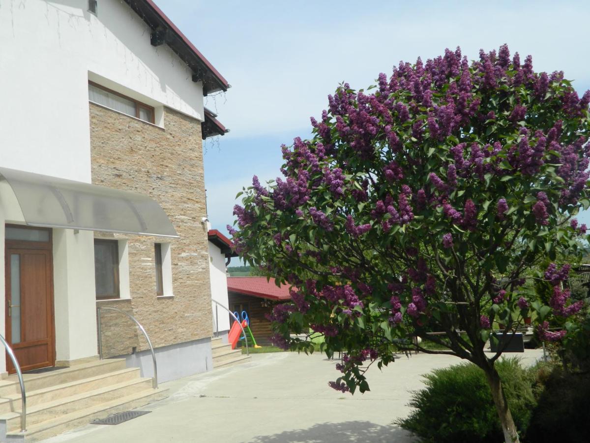 Mirana-Marginimea Sibiului Cristian (Sibiu) Exterior foto
